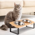 thumbnail image 7 of Qweryboo Cat Food Bowls, Elevated Stainless Steel Cat Bowls, 15 Degree Tilted Raised Bowls for Food and Water, with Stand and Anti Vomit Feeding Station for Indoor Cats and Small Dogs(Stainless Steel), 7 of 7
