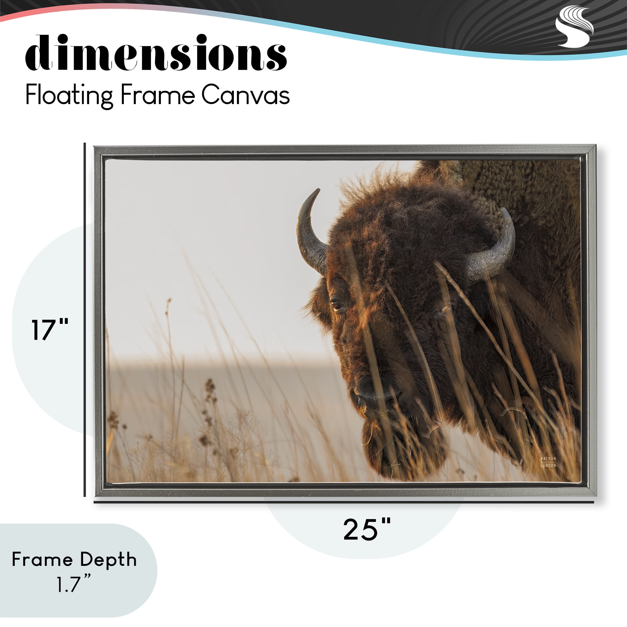 Stupell Industries Bison Sunset on Golden Prairie Gray Framed Floater Canvas Wall Art, design by Nathan Larson