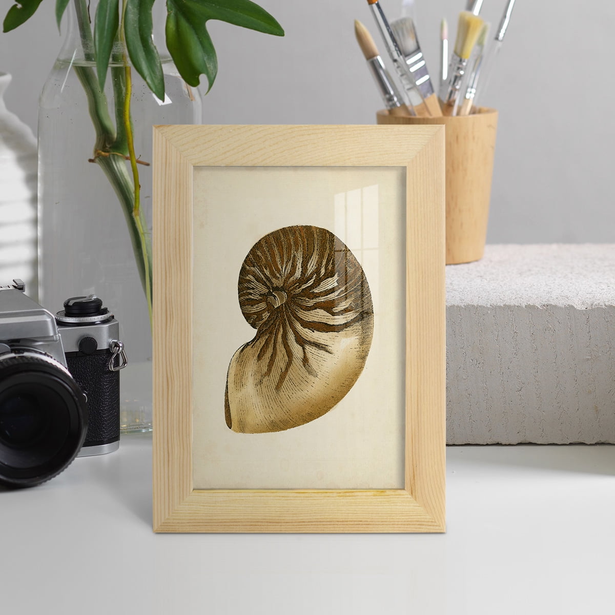 Sealife Collection V - Framed Print w/glass - Natural Wood