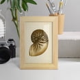 thumbnail image 5 of Sealife Collection V - Framed Print w/glass - Natural Wood, 5 of 8