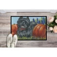 thumbnail image 2 of Carolines Treasures PPP3253MAT Cairn Terrier Moms Pumpkins Door Mat Indoor Rug or Outdoor Welcome Mat 18x27 Doormat  18H, 2 of 3