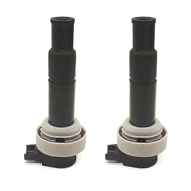 Suitable for BMW G650 G650x-GS 2PCS Engine Ignition Coil Pack 7715848-01 771584801-yi wu