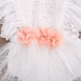 thumbnail image 4 of StylesILove Baby Girls Elegant White Lace Eyelet Romper with Peach Flower & Matching Headband 2pcs Flower Girl Tutu Dress Outfit (6 Months), 4 of 6