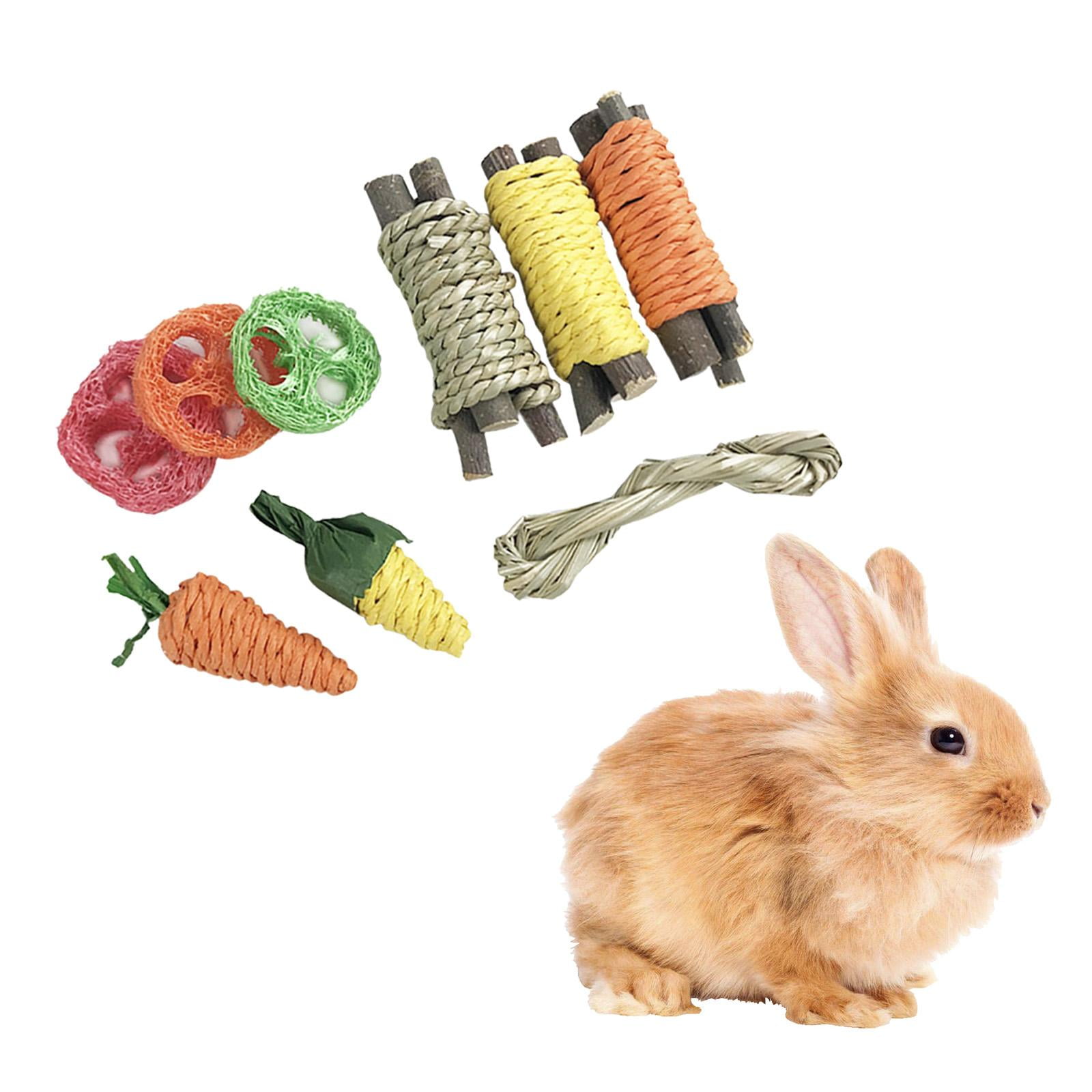 9Pcs Hamster Rabbit Chew Toys Tree Branch Carrot Grinding Toy for