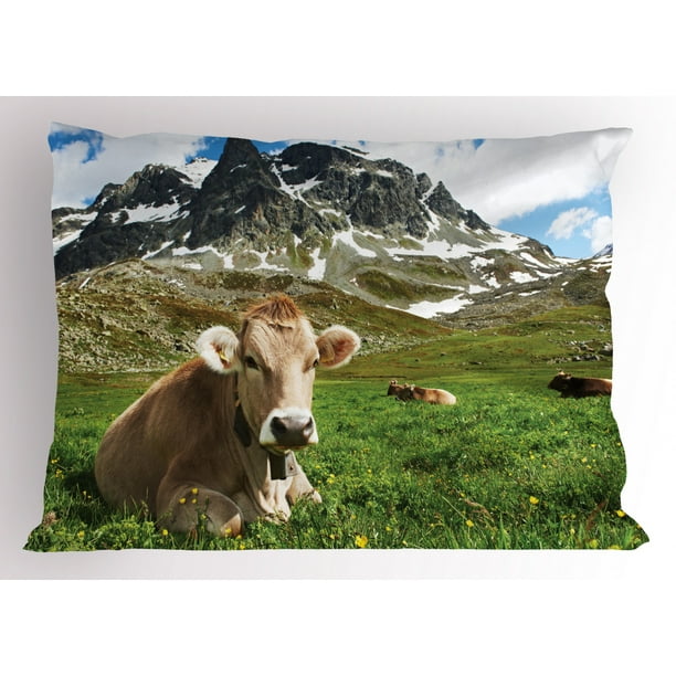 cows on a pillow