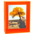 thumbnail image 1 of HappyDino Marco de fotos flotante de neón acrílico de 8 x 10, escritorio de pared, marco de fotos decorativo a todo color brillante para montaje en pared, exhibición de galería de mesa, naranja neón, 1 of 1