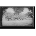 thumbnail image 2 of Historic Framed Print, Mexican carreta, Chihuahua, 17-7/8" x 21-7/8", 2 of 9