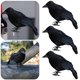 thumbnail image 4 of 3 Piezas Terror Animal Pájaro Plástico Y Plumas Halloween para El Fiesta, 4 of 7