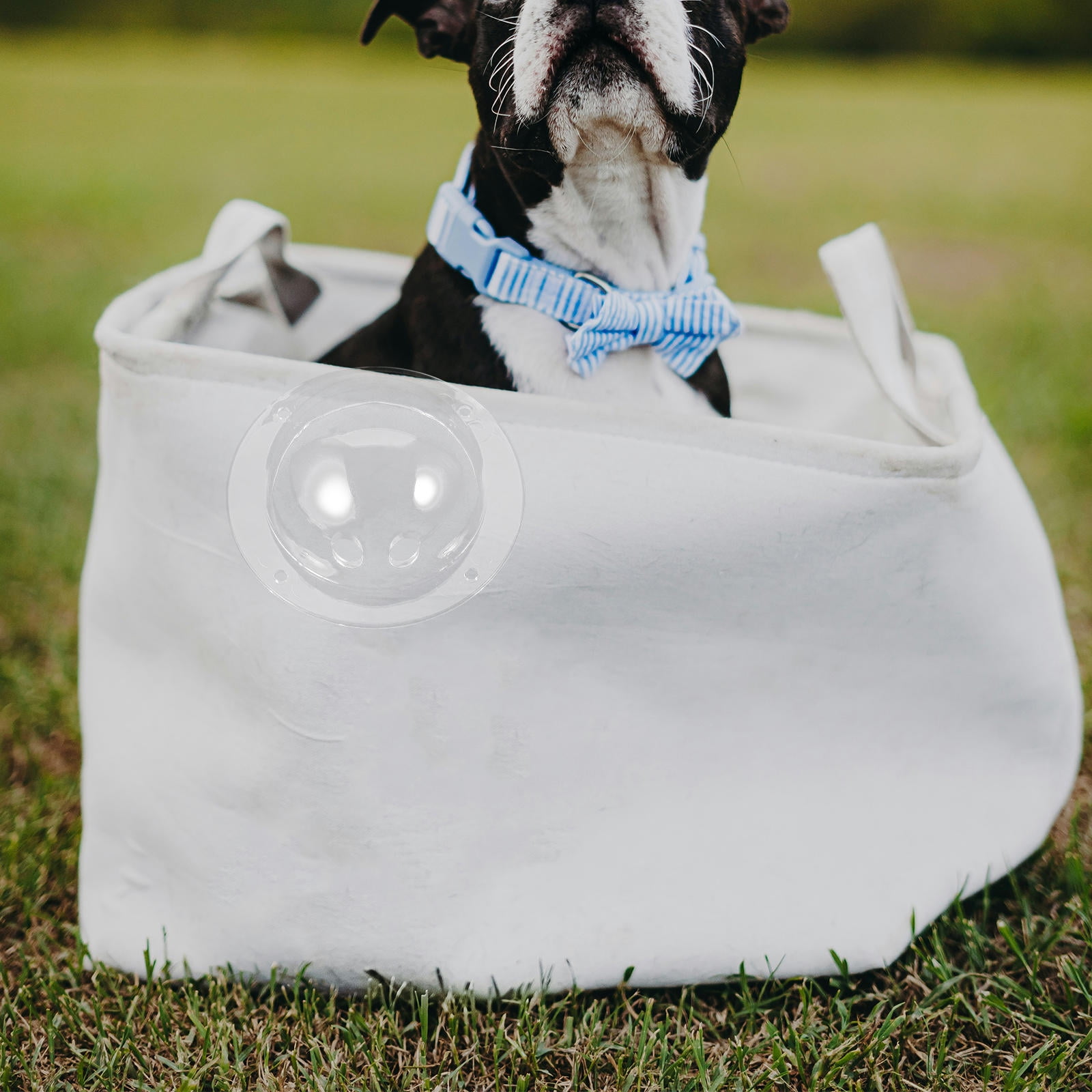 DEEPCRAFF Pet Carrier Accessory Clear Acrylic Dog Dome for Decor and Safety