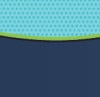Navy/Aqua