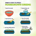 thumbnail image 2 of Kit de cultivo de microgreens ZESTIGREENS con maceta de cerámica, 2 of 7