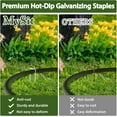thumbnail image 3 of MySit 25 Packs 12 Inches Galvanized Landscape Staples Heavy Duty 11 Gauge Anti-Rust Garden Stakes Staples Securing SOD Pins Yard Stakes for Landscaping Securing Weed Barrier Fabric, 3 of 8