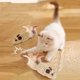 thumbnail image 5 of Peluches de pollo y ratón para gatos y perros | Juguetes interactivos para mascotas para rascar y jugar | Juguetes para aliviar el estrés y la ansiedad de las mascotas, 5 of 6