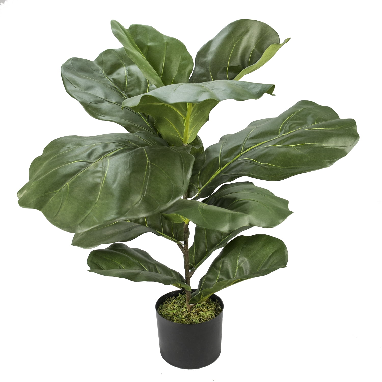 Artificial Plant, 2.5ft Fiddle Leaf Fig  Plant in a Plastic Black Grower's Pot by LCG Florals, Faux Designer Fake Indoor Plant for Living Room, Office, and Home Décor