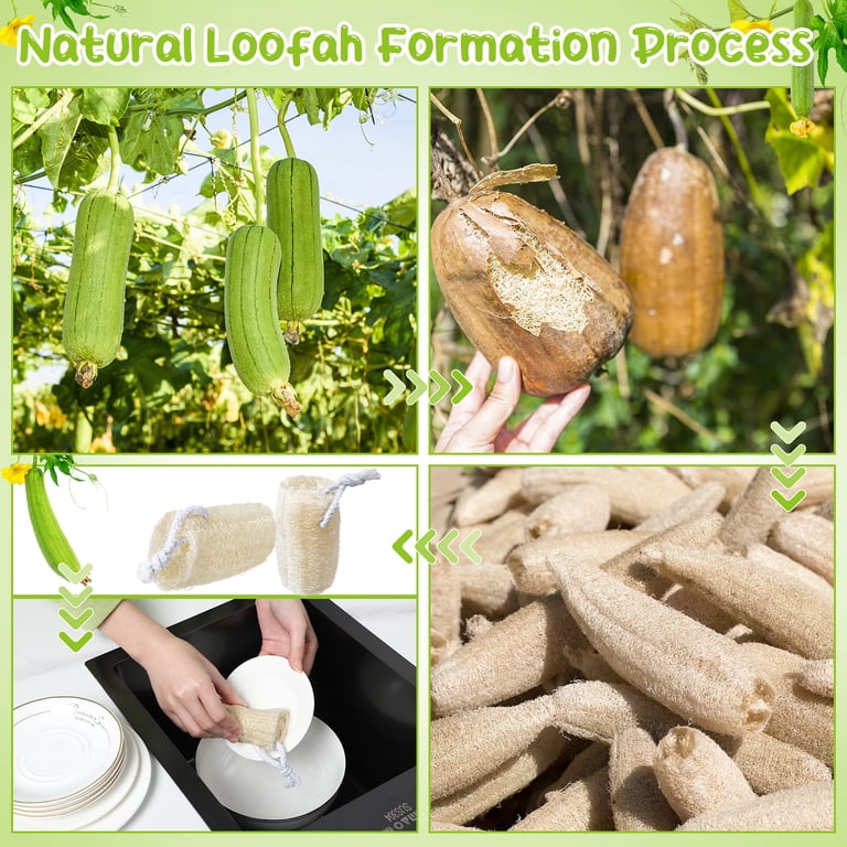 AOWOO Natural Loofah Sponge, 9-Pack photo 7