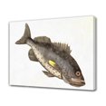 thumbnail image 1 of Póster de lienzo con pintura de peces, decoración de dormitorio, paisaje deportivo, decoración de oficina, regalo, estilo marco, 20 x 30 cm, 1 of 8