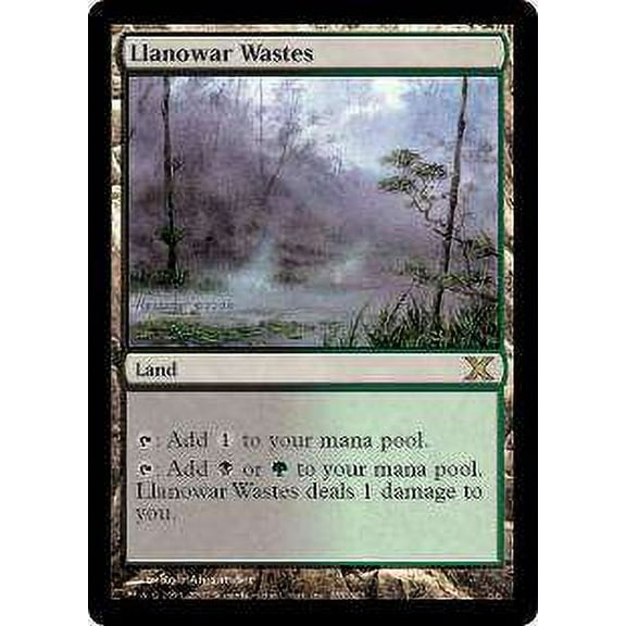 MtG 10th Edition Rare Llanowar Wastes #355