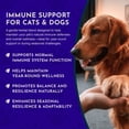thumbnail image 6 of Animal Essentials Super Immune Herbal Formula For Dogs And Cats 2-Ounce, 6 of 9