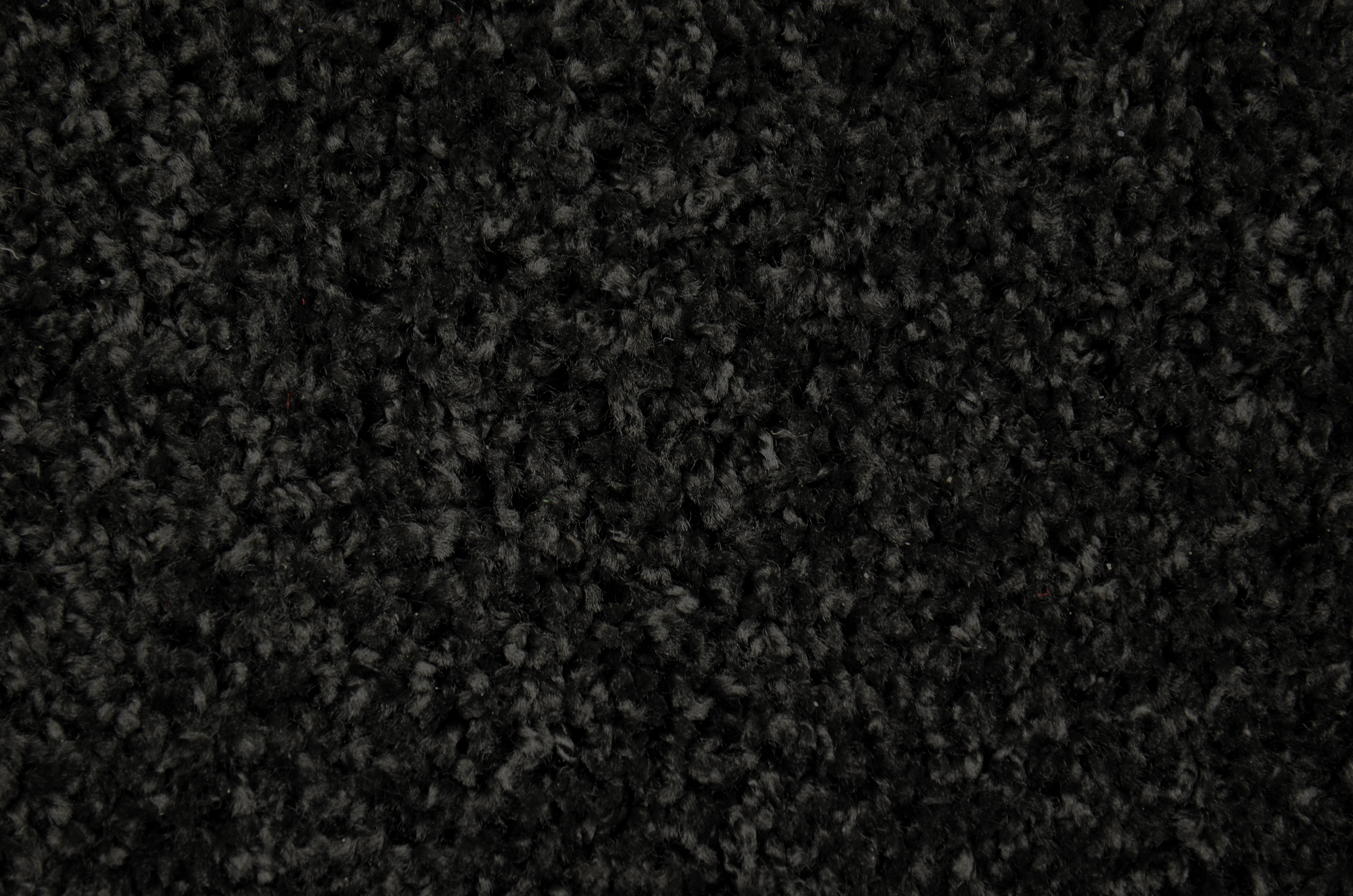 Garland Rug Skyline Shag Black Indoor Area Rug, 4' x 6'