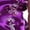 w93# Dark Purple234, variant on Wuxian Toddler Girls Chinese Dress Cheongsam Floral Embroidery Short Sleeve Stand Collar Dresses Kids Birthday Party Outfits High Split Side Button Down Mid-Length Easter Dress,Purple,18-24 Months
