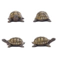 thumbnail image 4 of thinsony Tortoise Statue Outdoor Decorative Statue for Backyard Patio Decoration, 4 of 9