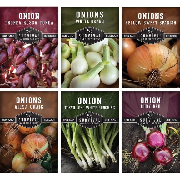 Onion Seeds 6 Variety Pack - Full Sun Biennial Vegetable