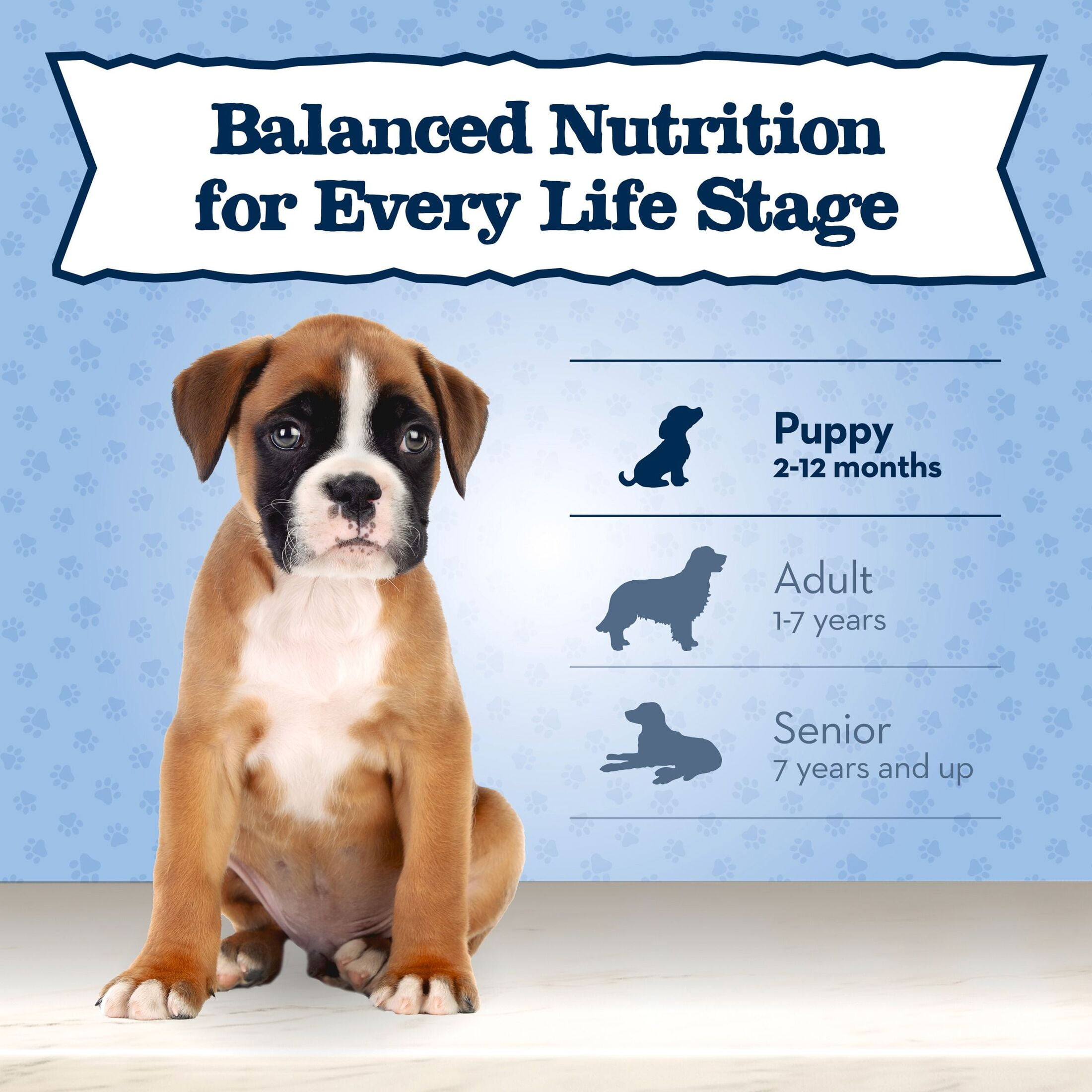 Blue Buffalo Baby BLUE Natural Small Breed Puppy Dry Dog Food, Chicken & Oatmeal, 4-lbs.