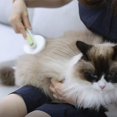thumbnail image 4 of Peine de masaje para mascotas, peine para esteras para perros, cepillo para quitar el pelo, peine para perros, cepillo para el pelo autolimpiante, removedor de pelo para gatos, utensilios de, 4 of 5
