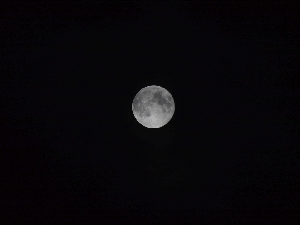 A Trip to the Moon 14 x 11/" Photo Print