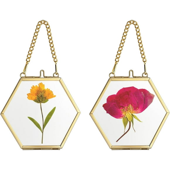 shiyou-2 Pack Mini Hexagon Hanging Photo Frame Glass Floating Picture Frame Gold Hanging Pressed Flower Frames Vintage Brass Picture Display Frame for Artwork Wall Gallery Display