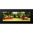 thumbnail image 2 of Hausenflock, Alan 14x7 Black Modern Framed Museum Art Print Titled - Louisa County I, 2 of 5