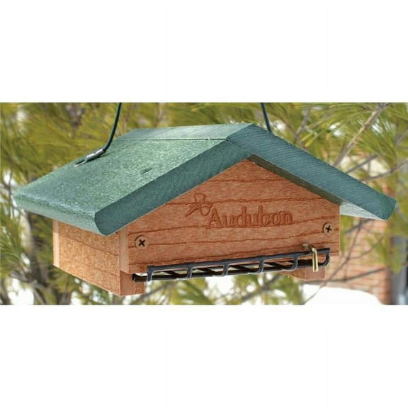 Audubon-woodlink - Go Green Suet Bottom Feed Style- Green 3 Inch - NAGGSBF