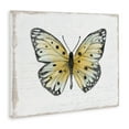 thumbnail image 4 of Stupell Industries Beautiful Butterfly on White Animals Painting Wrapped Canvas Art Print Wall Art, 20 x 16, 4 of 8