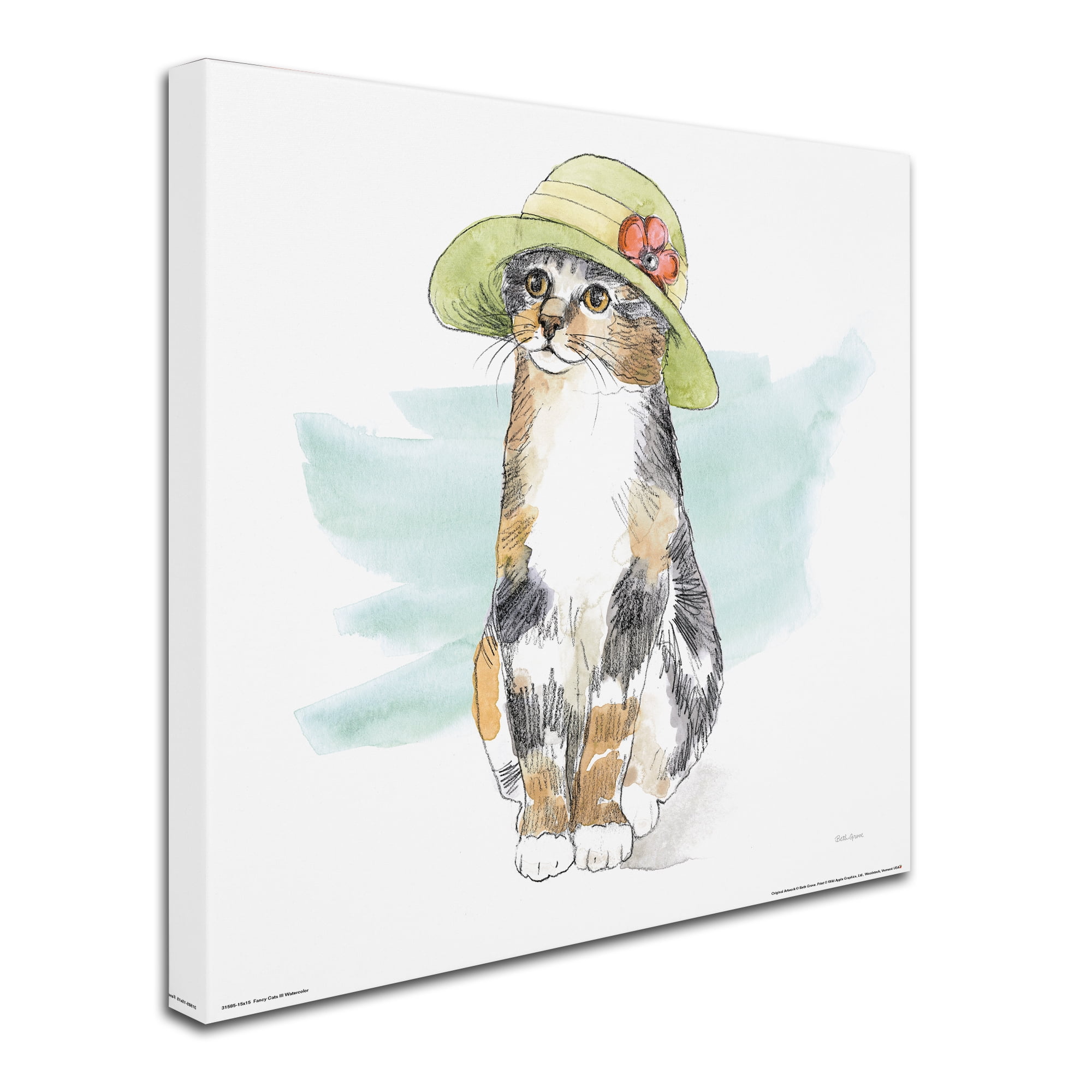 Trademark Fine Art 'Fancy Cats III Watercolor' Canvas Art by Beth Grove