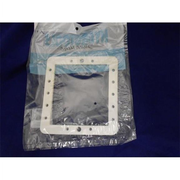 Pool Skimmer Front Plate Gasket
