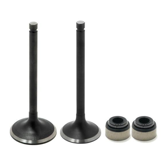 ATV Intake Exhaust Valve Kit with Seals for Yamaha Rhino 450 06-09 Grizzly 450 07-14 Wolverine 450 06-10