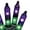 Purple/Green, variant on Member's Mark 100ct Dual Color Mini LED Lights, 22.3' Lighted Length