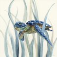 thumbnail image 2 of Nan 15x15 White Modern Wood Framed Museum Art Print Titled - Turtle in Seagrass II, 2 of 4