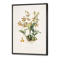 thumbnail image 3 of Designart 'Ancient Flower I' Traditional Framed Canvas Wall Art Print, 3 of 5