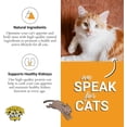 thumbnail image 3 of Dr. Elsey's cleanprotein Grain-Free Turkey Flavor Dry Cat Food for All Life Stages 2 lb. Bag, 3 of 8