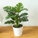 thumbnail image 4 of Bonsái de planta simulada BuyWeek decorativa realista en maceta, 4 of 5