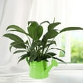 thumbnail image 6 of oshhnii Watering Can Decorative Sprinkling Can for Outdoor Plants Vase Indoor Plants Green, 6 of 9