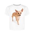 thumbnail image 1 of Shy Chihuahua Tee Girl's -Image by Shutterstock, 1 of 2