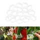 thumbnail image 4 of de 200 Pinzas para Soporte de Plantas, Pinzas para Jardín, Pinzas para Enrejado de Vides de, 4 of 8
