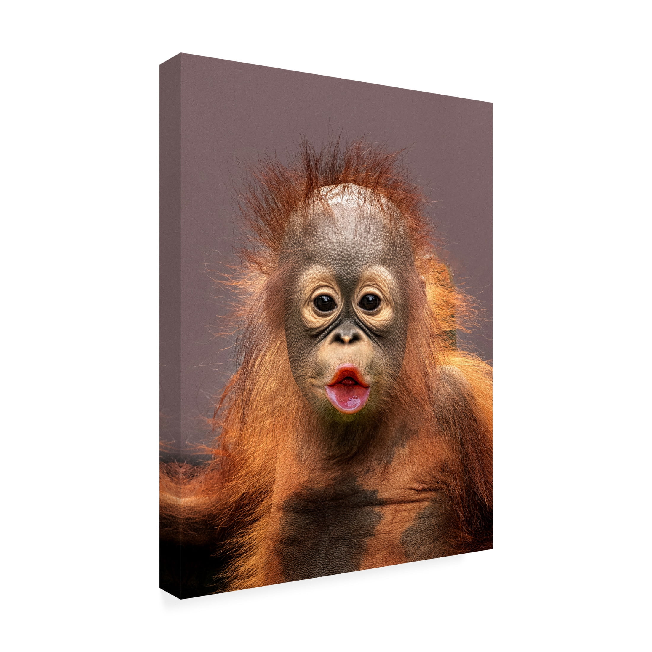 Trademark Fine Art Prabu Dennaga  kisses Canvas Wall Art