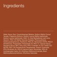 thumbnail image 2 of Bath & Body Works Puritan's Pride Bath and Body Works Warm Vanilla Sugar Signature Collection Shower Gel, 10 oz..., 2 of 6