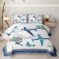 thumbnail image 2 of Erosebridal Cartoon Airplane Twin Quilt Set for Boys Men, Cartoon Cloud Print Twin Coverlet Set, 2 Pieces, 2 of 7