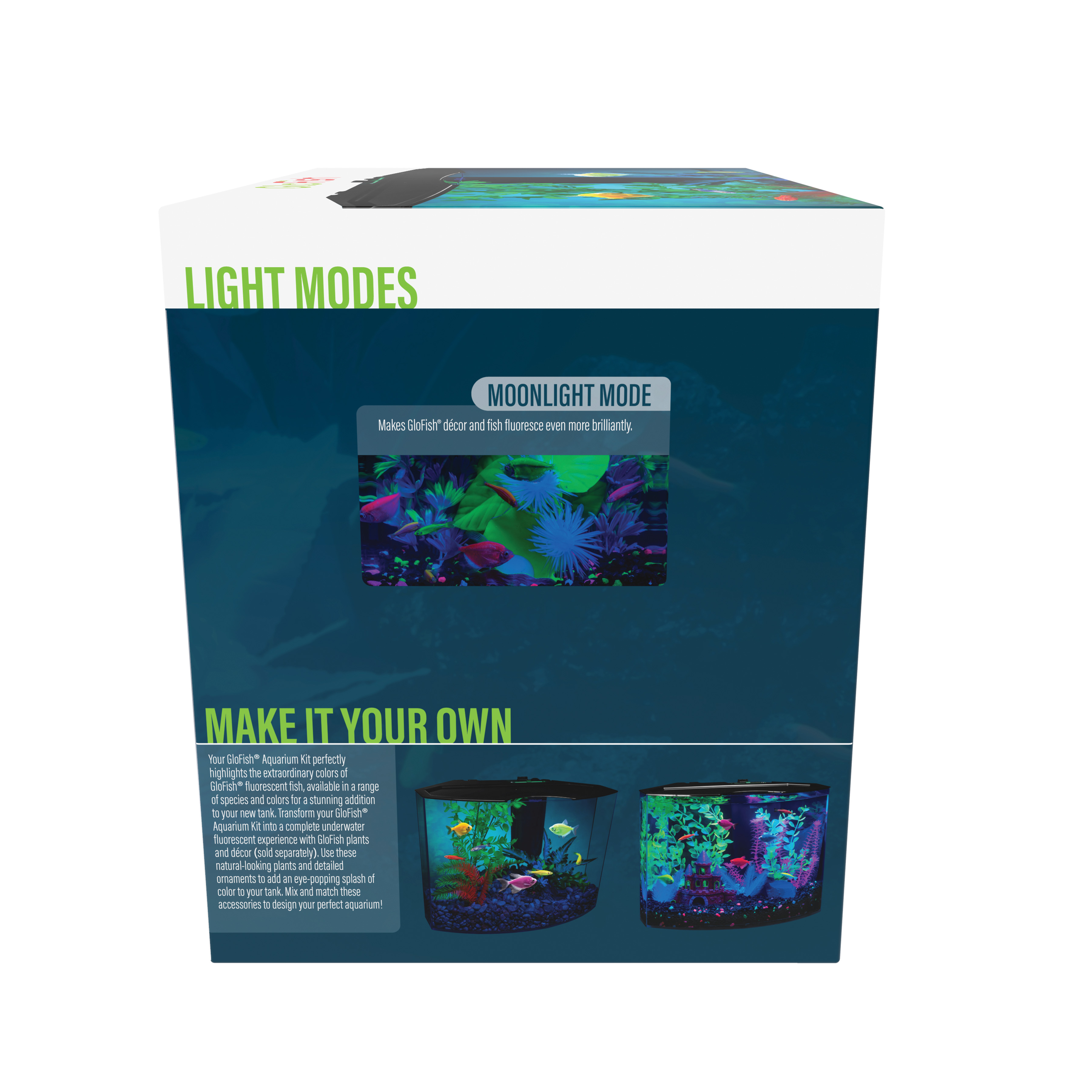 GloFish 5 Gallon Aquarium Kit with LED Light photo 6