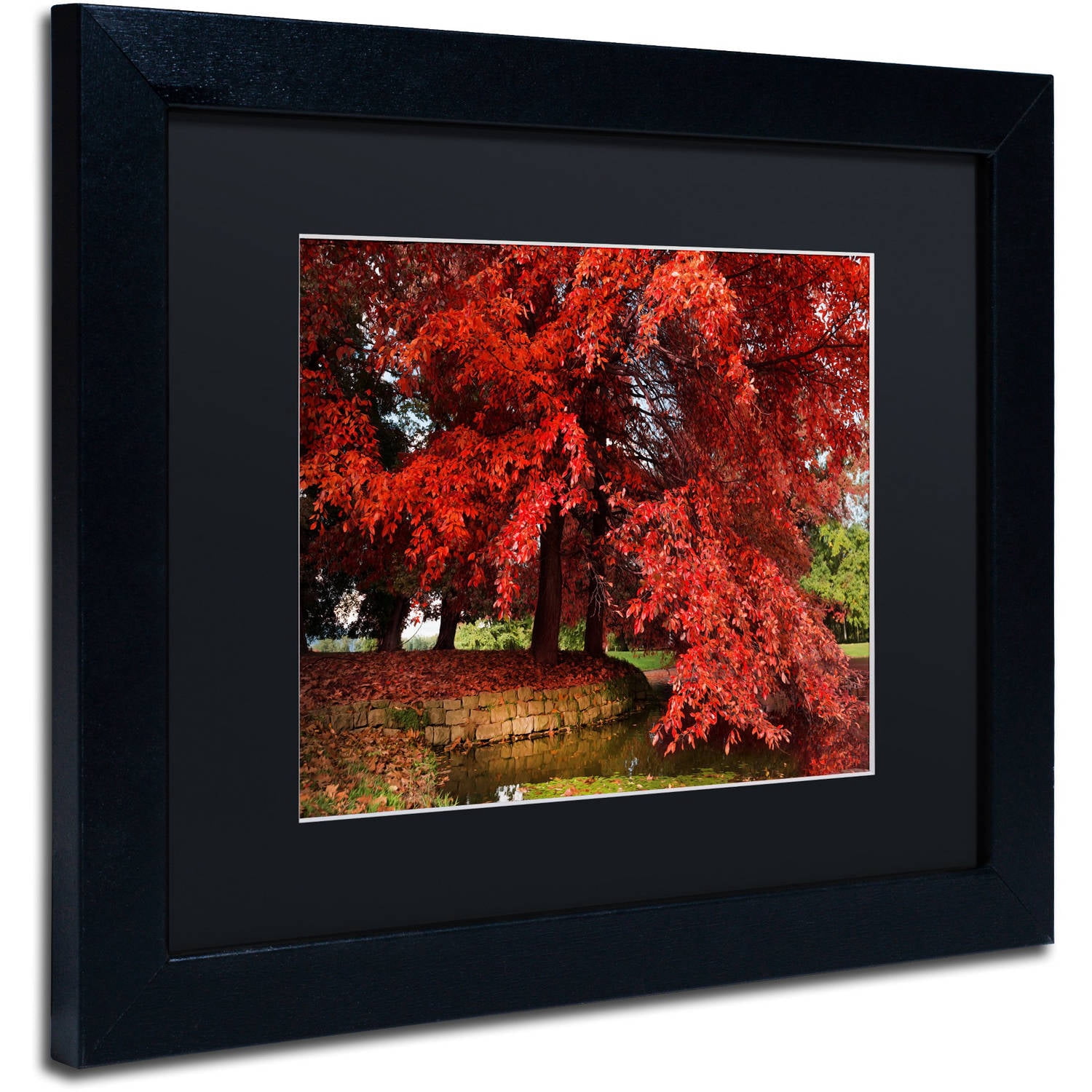 Trademark Fine Art "October" Canvas Art by Philippe Sainte-Laudy Black Matte, Black Frame