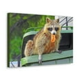 thumbnail image 2 of Raccoon Hunting Raccoon on Hunt Print Animal Wall Art Wildlife Canvas Prints Wall Art Ready to Hang Unframed, 2 of 18